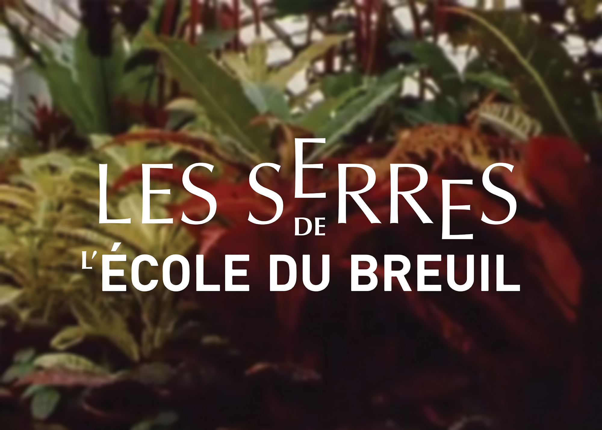 découvrez le patrimoine de marc senoble en 2025 : histoire, valeurs, héritage familial et perspectives pour l’avenir. explorez l’évolution de ce patrimoine unique.